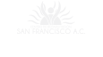 Logo Img